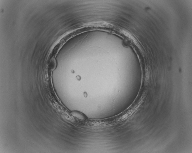 X0000067330923200604131657