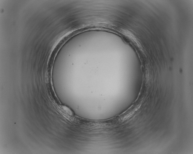 X0000067330924200604131657