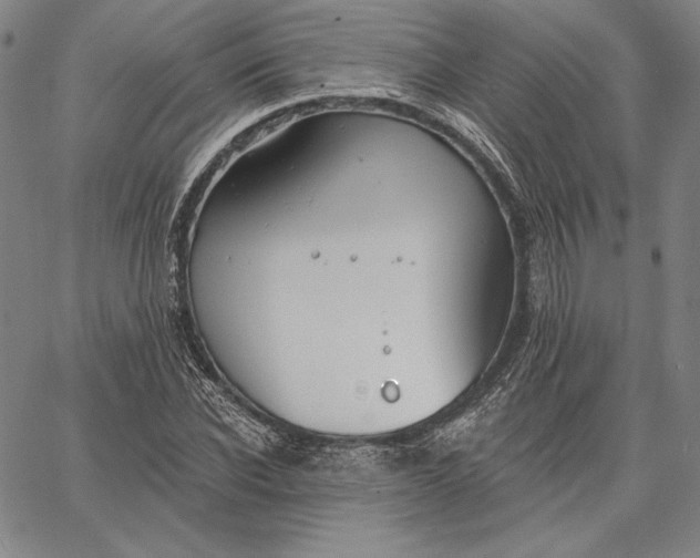 X0000067330926200604131657