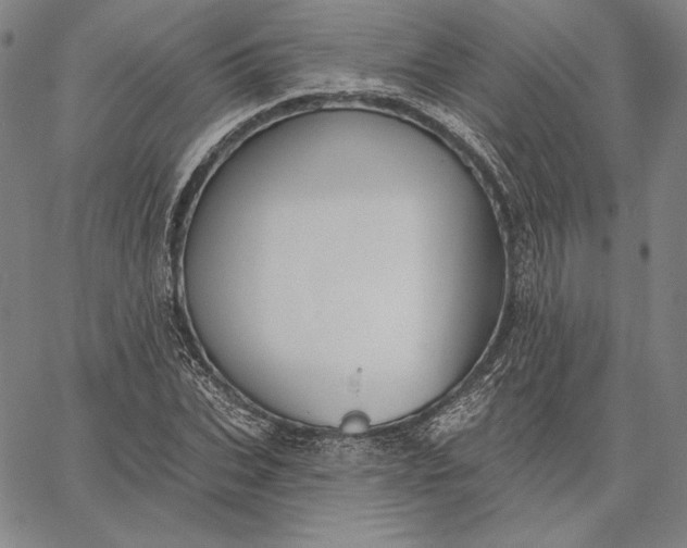 X0000067330927200604131657