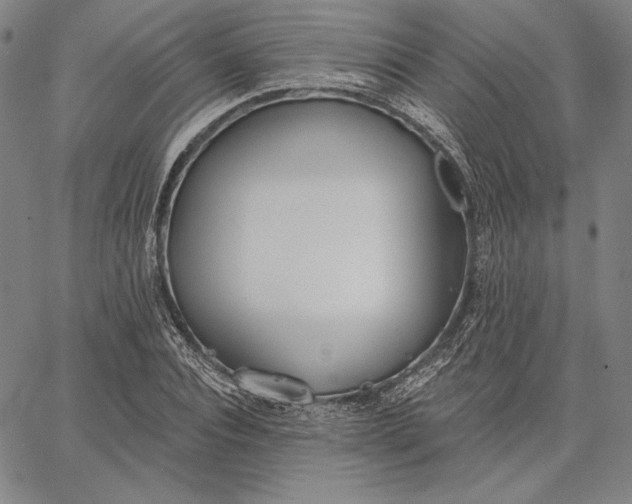 X0000067330928200604131657