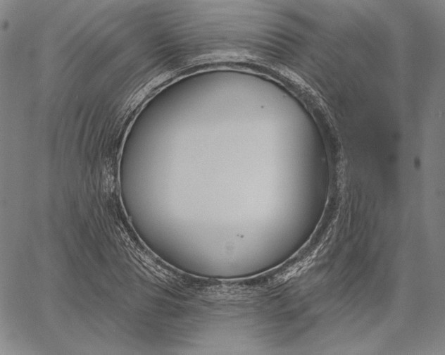 X0000067330929200604131657