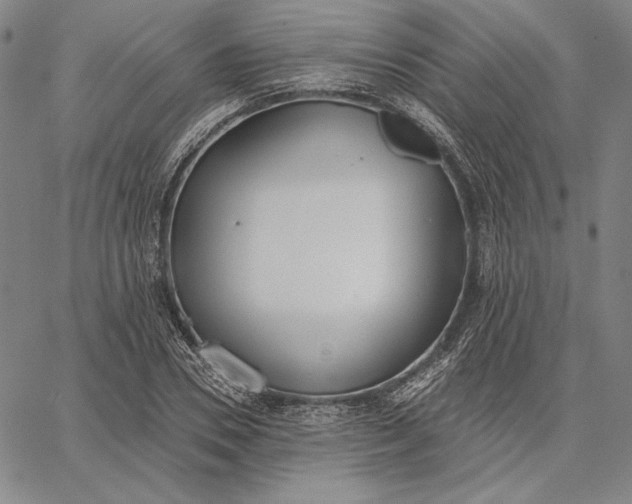 X0000067330930200604131657