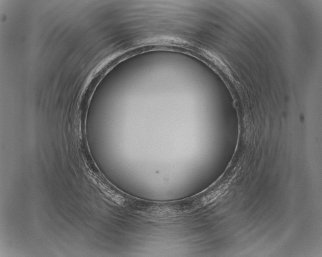 X0000067330931200604131657