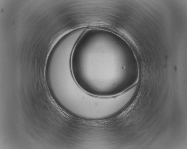 X0000067330932200604131657