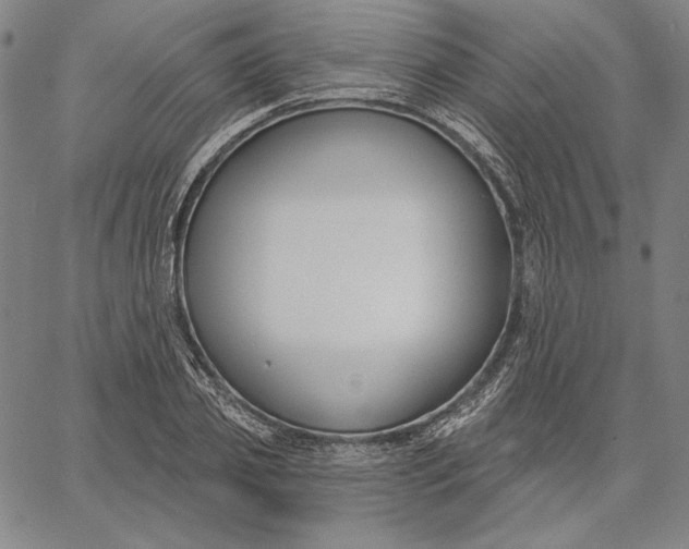 X0000067330933200604131657