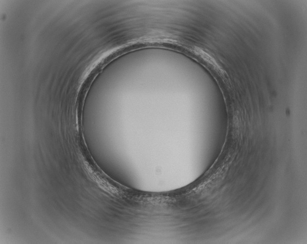 X0000067330934200604131657