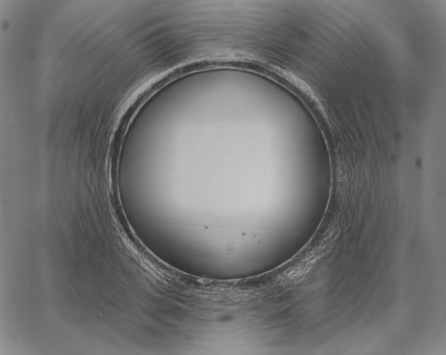 X0000067330935200604131657