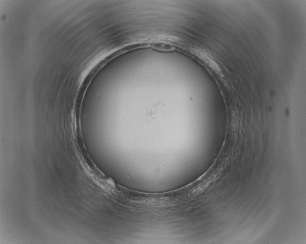 X0000067330936200604131657