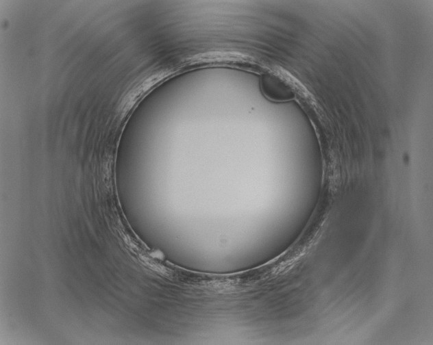 X0000067330937200604131657