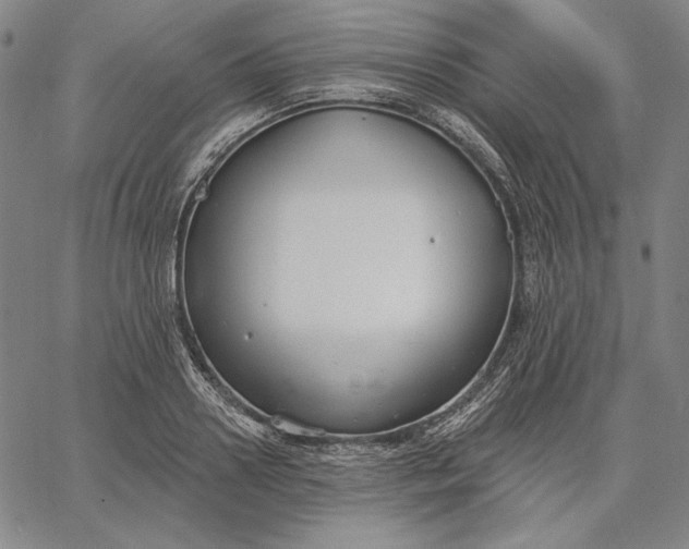 X0000067330938200604131657