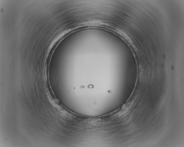 X0000067330939200604131657