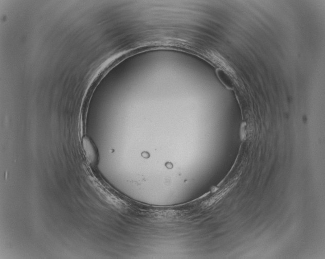 X0000067330940200604131657