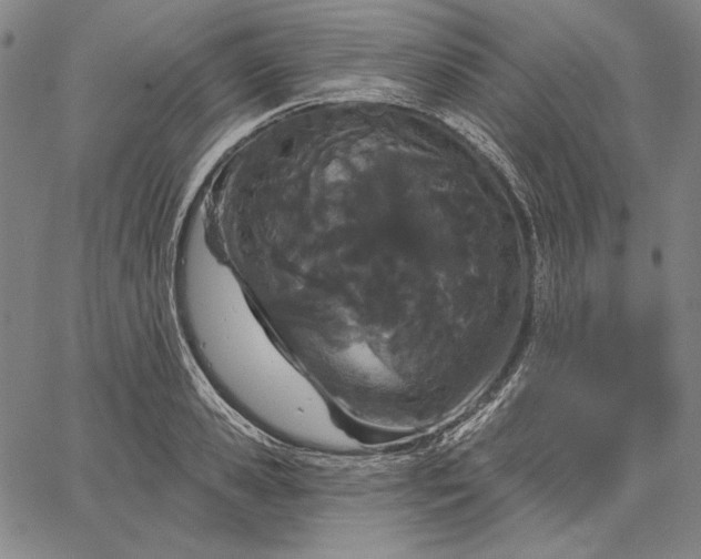 X0000067330941200604131657