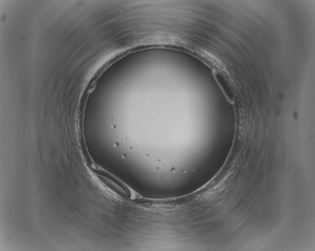 X0000067330942200604131657