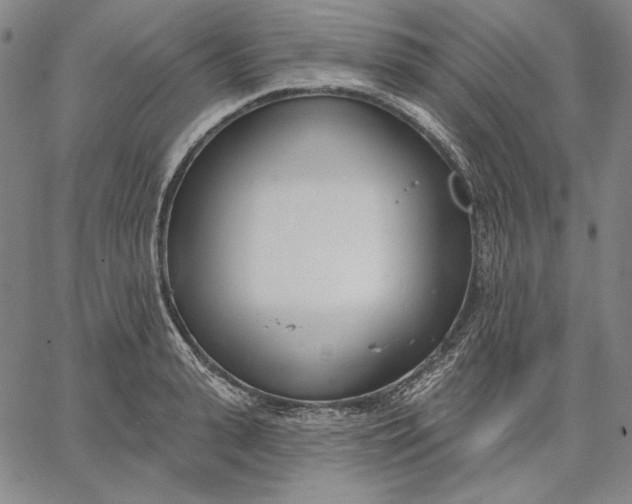 X0000067330943200604131657