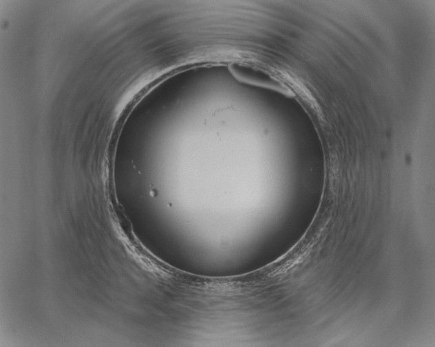 X0000067330944200604131657