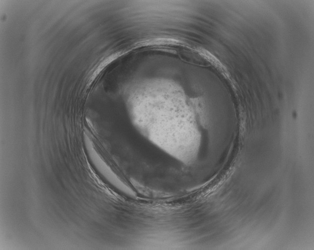 X0000067330945200604131657