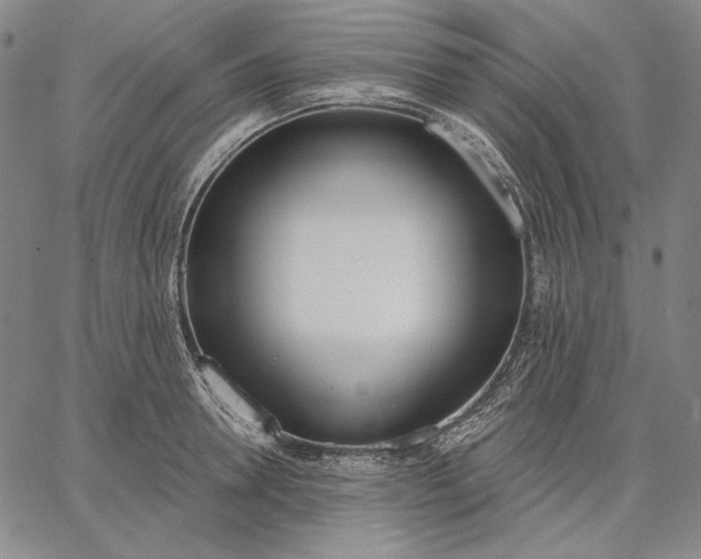 X0000067330946200604131657