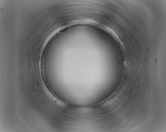 X0000067330947200604131657