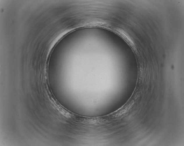 X0000067330948200604131657