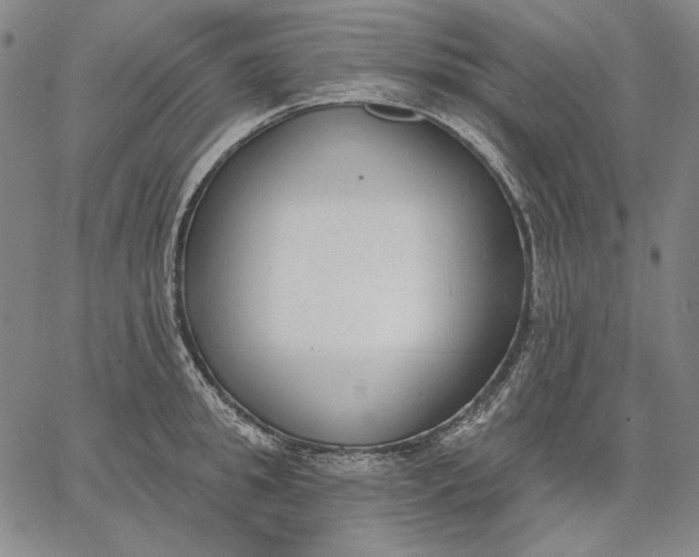 X0000067330949200604131657