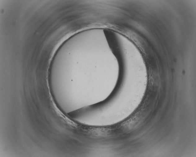 X0000067330950200604131657