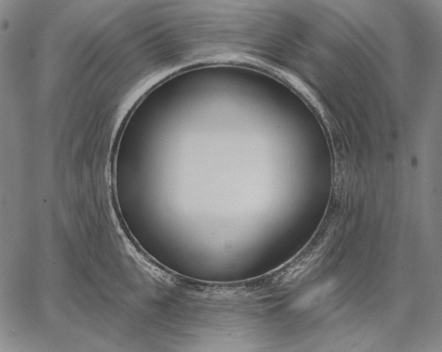 X0000067330951200604131657