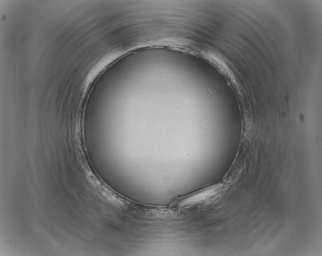 X0000067330952200604131657