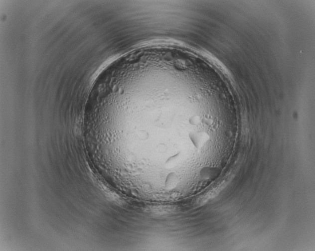 X0000067330953200604131657