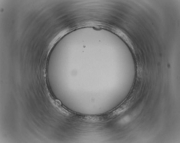 X0000067330954200604131657