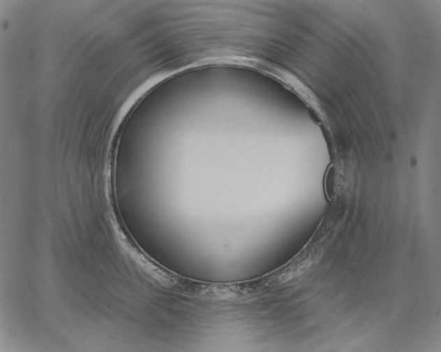 X0000067330955200604131657