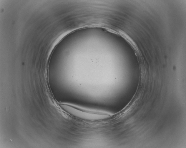 X0000067330956200604131657