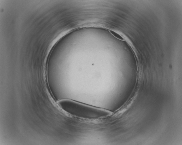 X0000067330957200604131657