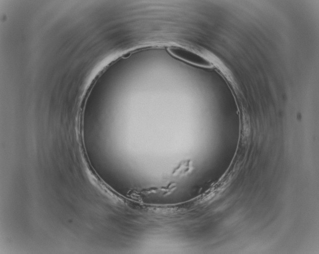 X0000067330958200604131657