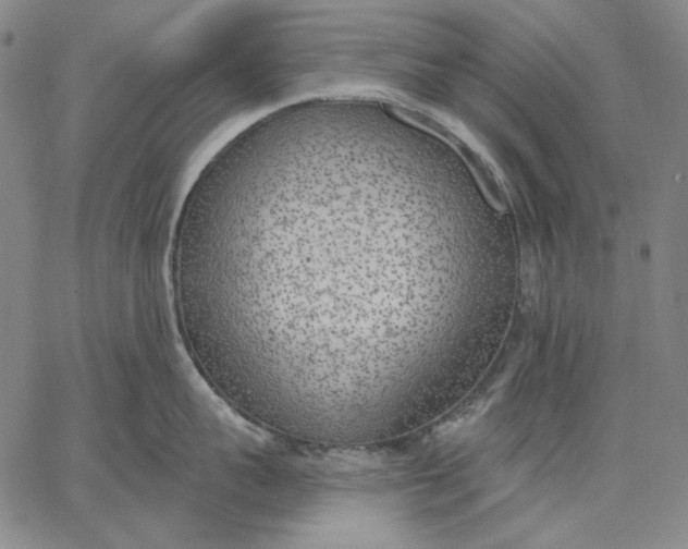 X0000067330959200604131657