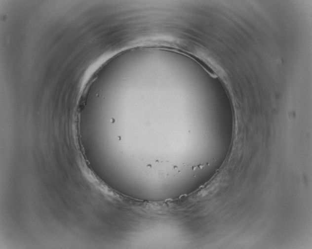 X0000067330960200604131657