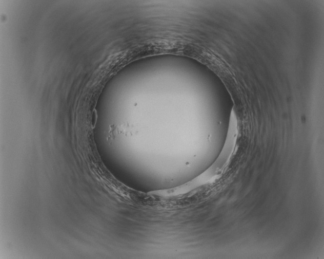 X0000067330961200604131656