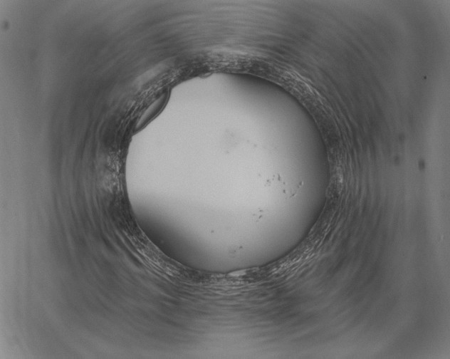 X0000067330964200604131656