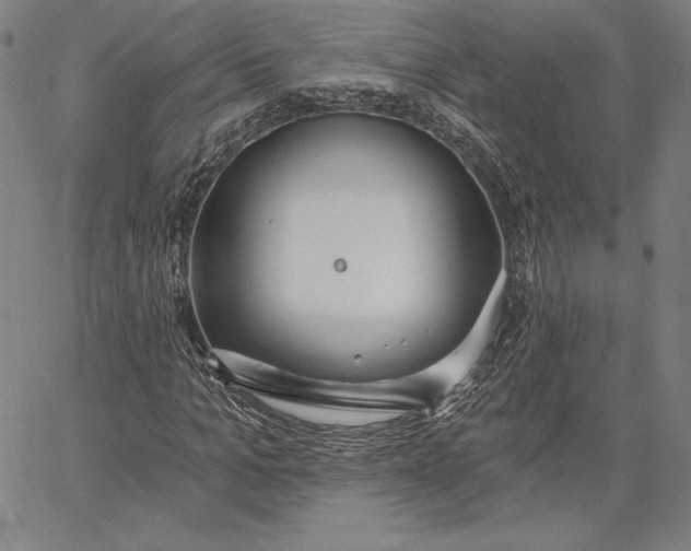 X0000067330965200604131656