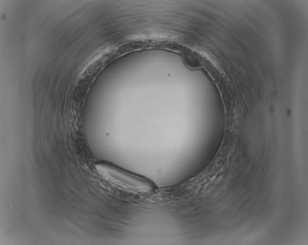 X0000067330967200604131656