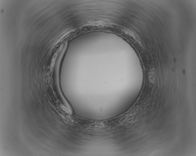 X0000067330968200604131656