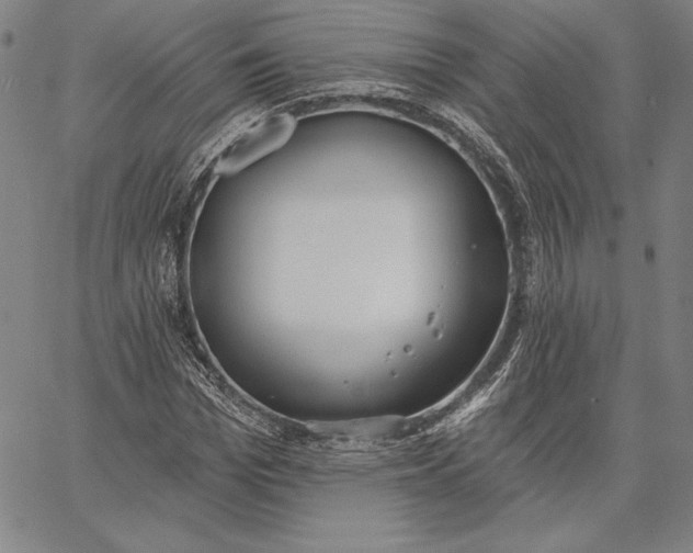 X0000067330969200604131656