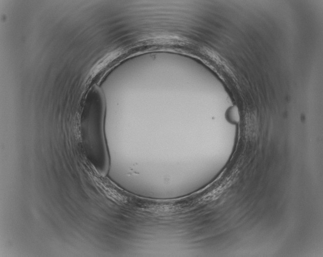 X0000067330970200604131656