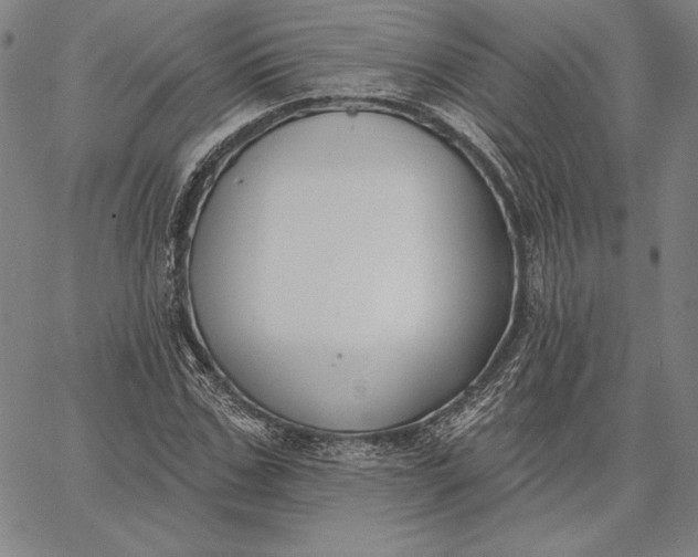 X0000067330971200604131656