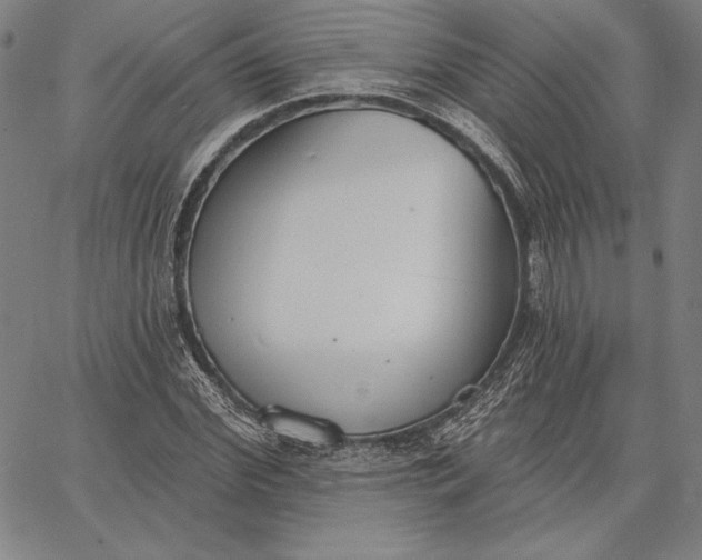 X0000067330972200604131656