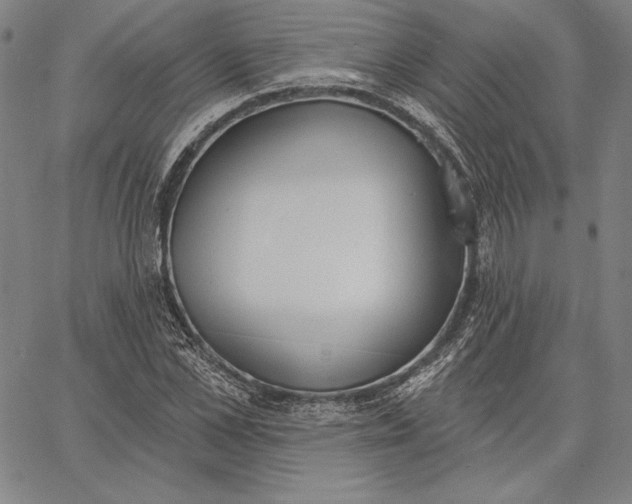 X0000067330973200604131656