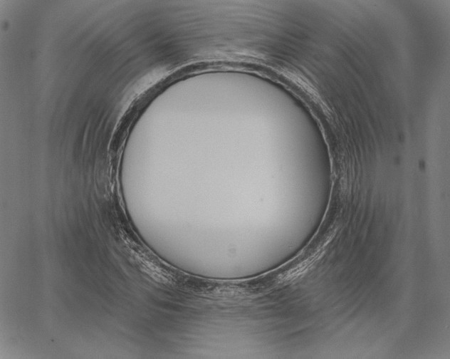 X0000067330974200604131656