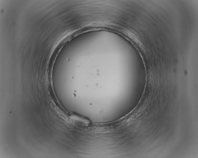 X0000067330976200604131656