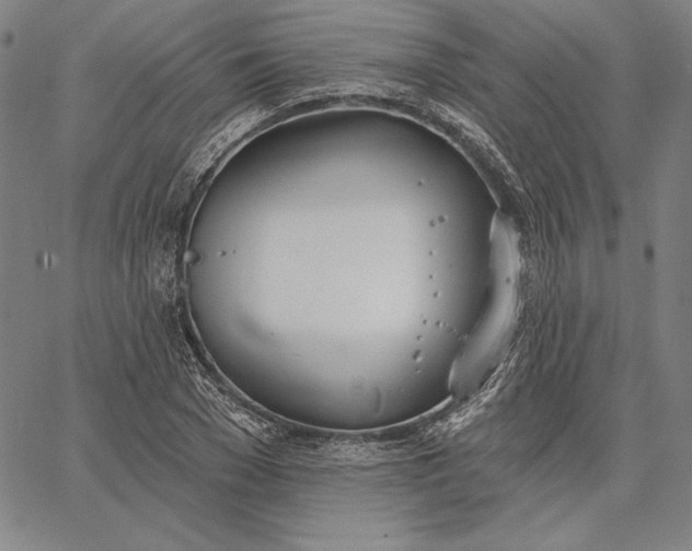 X0000067330977200604131656